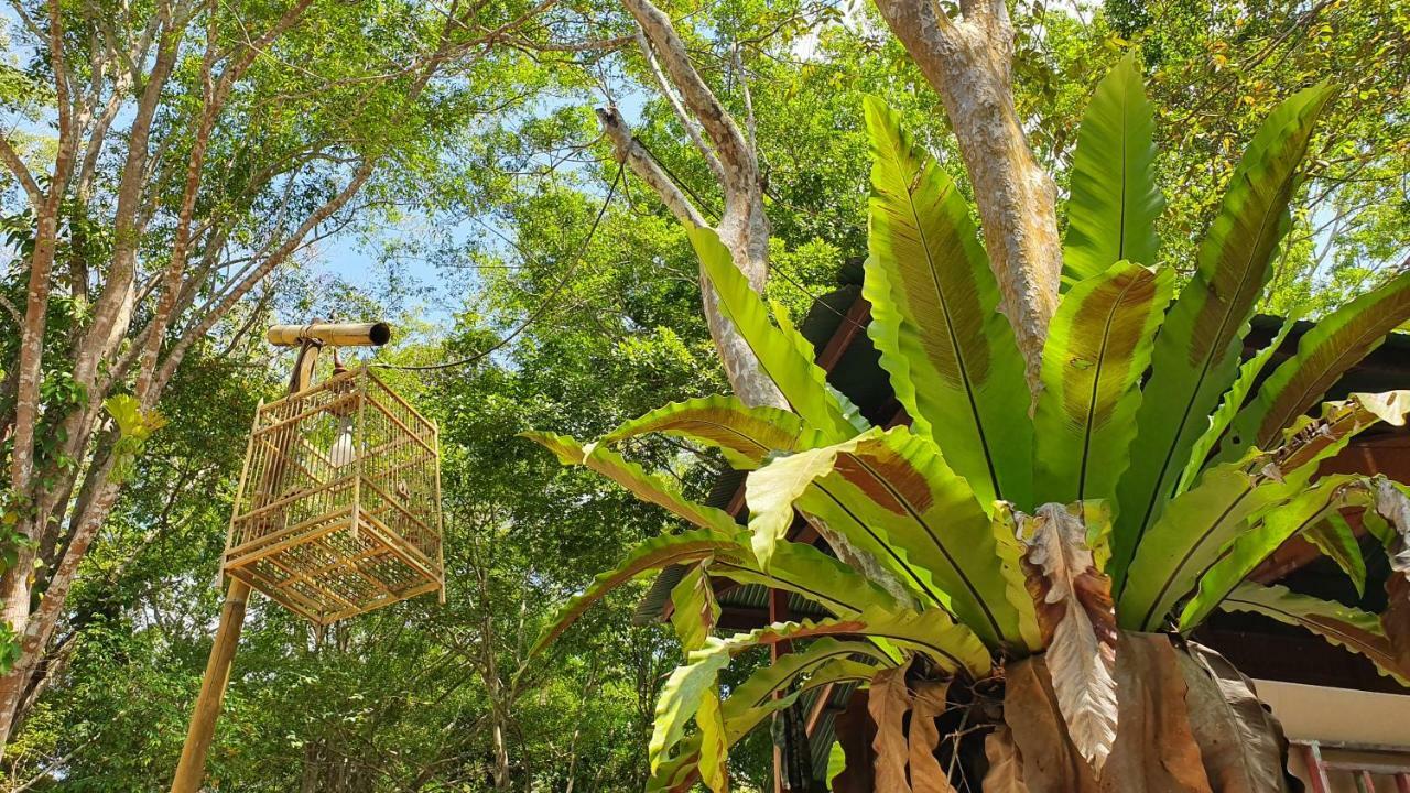 哈格里米萨度假村 Ban Khao Klom 外观 照片